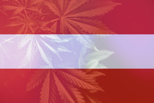 Kannabisz marihuána levél Avstriya zászlóján. Fű dekriminalizáció Avstriya-ban. Kannabisz legalizáció az Avstriya-ban. Orvosi kannabisz az Avstriyában. - Fotó, kép