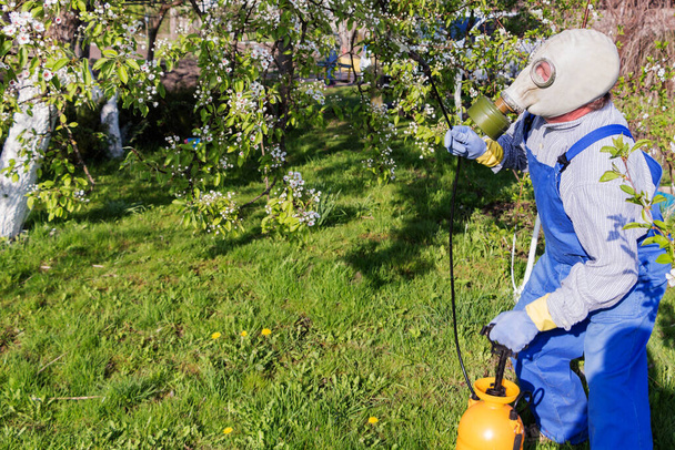 Pflege von Obstbäumen, Gartenarbeit. Gärtner streut Bäume. - Foto, Bild