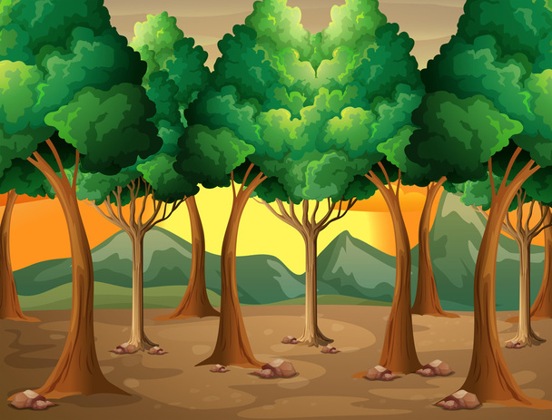 Árboles en el bosque
 - Vector, Imagen