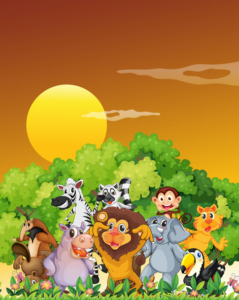 Um grupo de animais na floresta
 - Vetor, Imagem