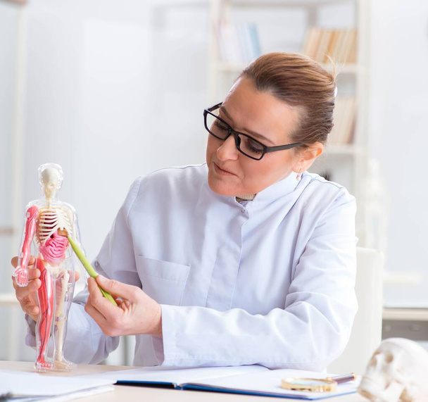 Woman doctor studying human skeleton - 写真・画像