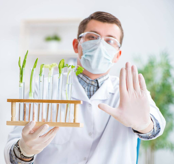 Bitkiler üzerinde çalışan erkek biyokimyacı. - Fotoğraf, Görsel