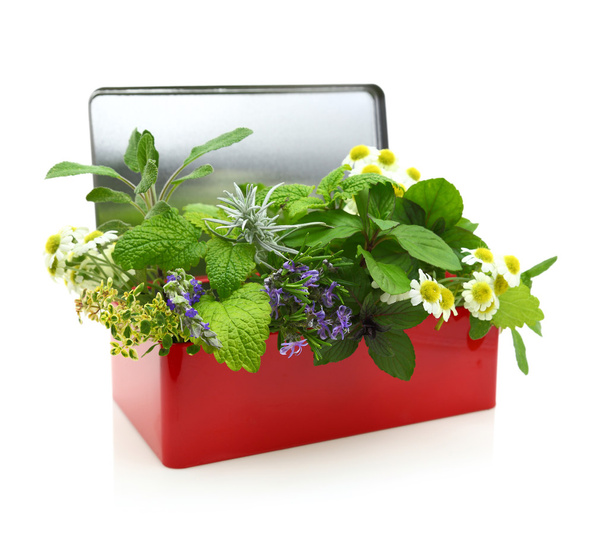 Fresh herbs in first aid kit - Photo, Image
