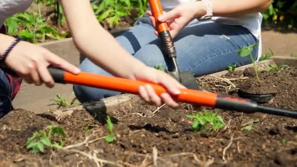Долгая видеозапись людей с садовыми инструментами, работающих в саду и копающих удобренную почву. Концепция совместной работы и совместной работы семьи на заднем дворе - Кадры, видео