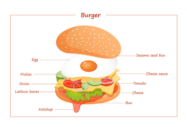 Vegetarian burger with ingredients such as egg, ketchup, lettuce, tomato, cucumber, onion, sauce and cheese. Vector flat illustration of fast food burger for poster, advertisement, menu, web - Vector, Image