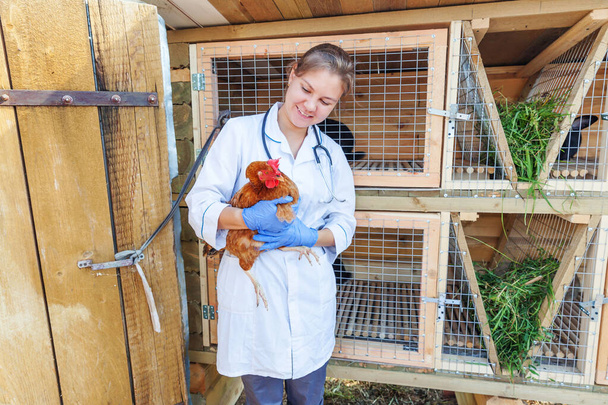 Boldog fiatal állatorvos nő sztetoszkóppal gazdaság és vizsgálata csirke farmon háttér. Tyúkok állatorvosi kezekben, hogy ellenőrizzék a természetes öko-gazdaságban. Állatgondozás és ökológiai gazdálkodás koncepciója - Fotó, kép