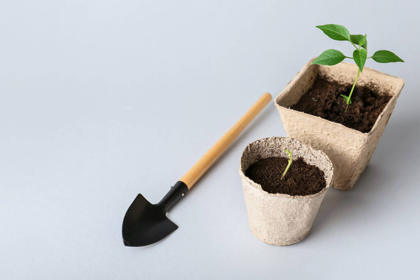 Peat pots with soil and green seedling on light background - Photo, image