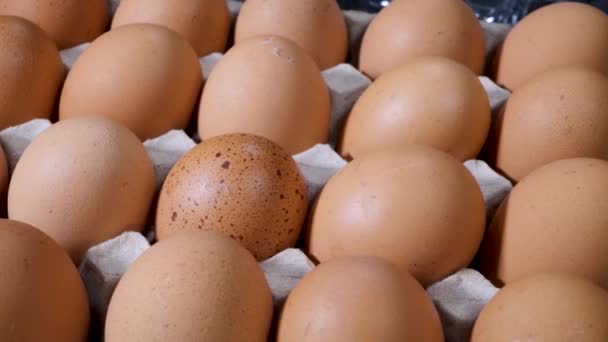 Uova di pollo crude in scatola di uova - Filmati, video