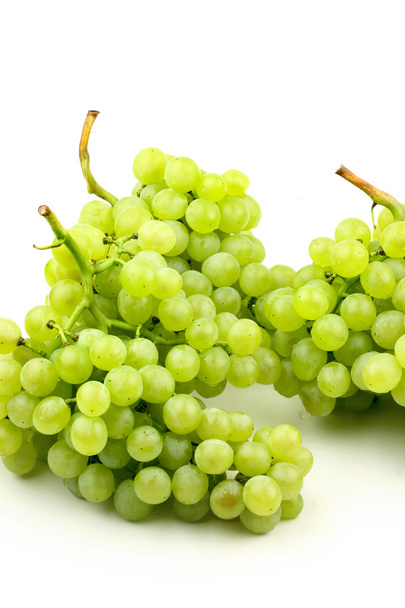Ripe grapes - Fotografie, Obrázek