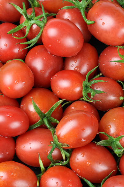 Cherry tomatoes - Fotografie, Obrázek