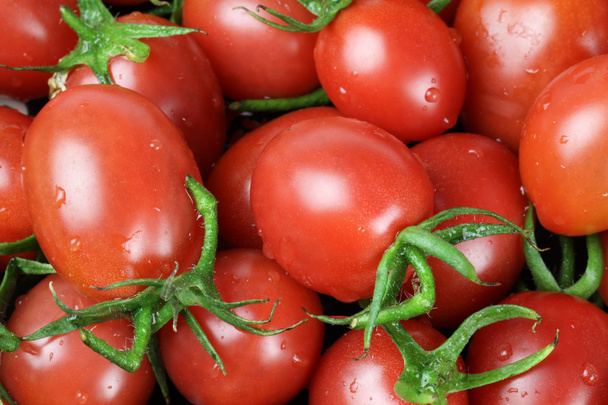 Cherry tomatoes - Foto, afbeelding