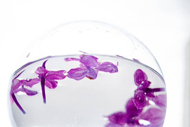 a vase of water with lilac flowers floating in it - Фото, изображение