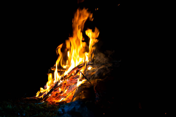 Beautiful bright campfire at night close-up, copy space - 写真・画像