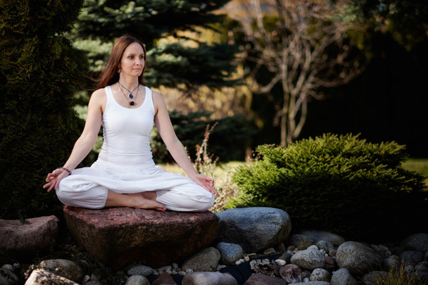 Sessione di yoga all'aperto in un posto bellissimo - meditazione
 - Foto, immagini