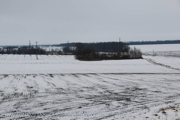 Campo agrícola de inverno sob neve e clima nublado - Foto, Imagem