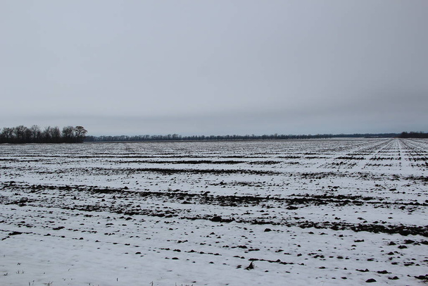 Winter agricultural field in the snow, overcast weather - Photo, Image