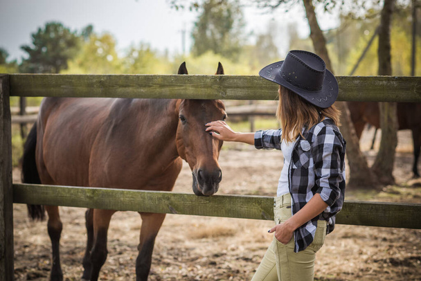 Horse farm concept, hobby -  rider. Woman talk with a horse, eco tourism  - 写真・画像