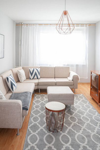 Scandinavian, Elegant, Minimalism Living Room Furnished in Neutral Beige and Gray Colors. Comfortable nordic living. - Foto, afbeelding