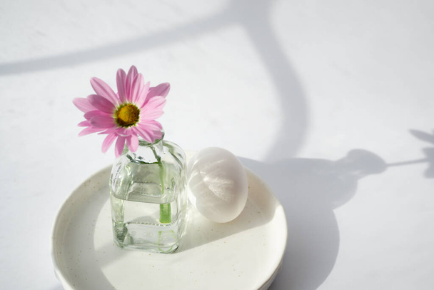 Jedno jajko kurze na białym talerzu latem lub wiosenne jasne światło słoneczne na parapecie wraz ze szklanym wazonem z jednym kwiatem podobnym do różowej stokrotki. - Zdjęcie, obraz