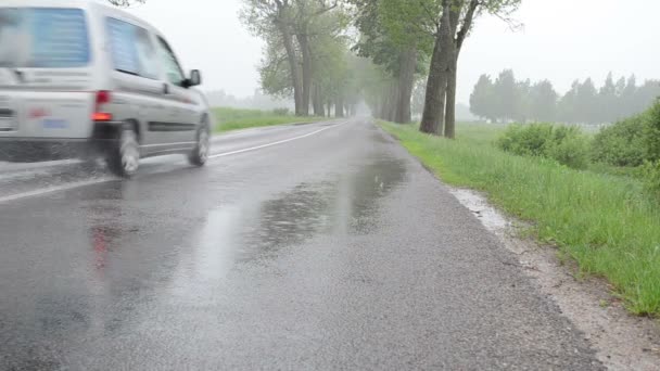 eső autó aszfaltozott út - Felvétel, videó