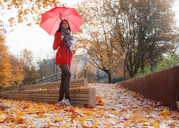 νεαρή κοπέλα με ένα κόκκινο παλτό με μια ομπρέλα στέκεται στο σοκάκι ενός πάρκου της πόλης σε μια ηλιόλουστη μέρα του φθινοπώρου - Φωτογραφία, εικόνα