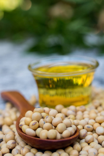 Le soja sain est riche en protéines et en vitamines. - Photo, image