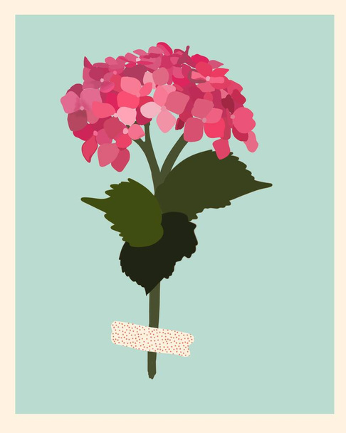 Illustration with a hydrangea in a blue background. - Foto, immagini