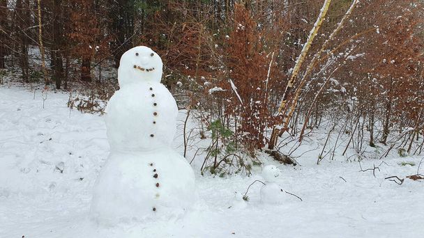 Lähikuva todellinen lumiukko lumesta talvella metsässä - Valokuva, kuva