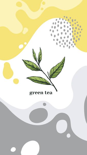 Vector illustration of an advertising vertical banner with a sprig of green tea. Tea house and ceremonies, for stories and poster of matcha tea - Vetor, Imagem