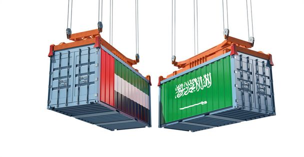 Conteneurs de fret avec drapeaux nationaux de l'Arabie saoudite et des Émirats arabes unis. Rendu 3D  - Photo, image