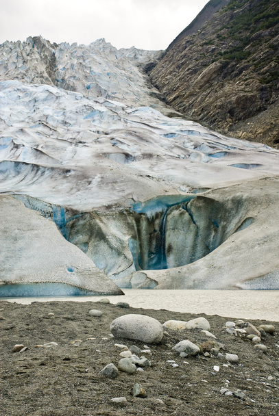 アラスカ - デビッドソン氷河 - 写真・画像