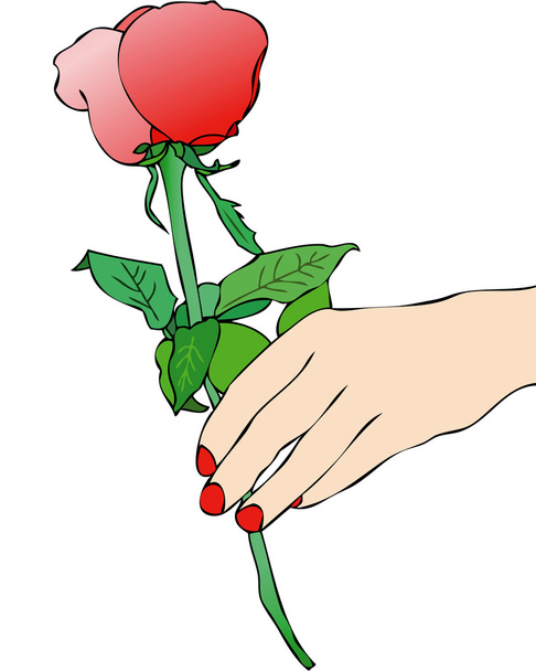 egy vörös rózsa - Vektor, kép