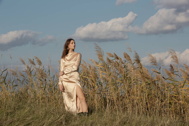 Fashion outdoor portrait of woman in beige silk satin long dress.  - Photo, Image