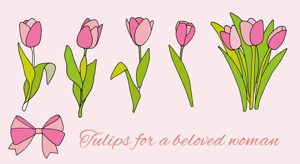 Set of delicate tulips in colored doodle style for cards, posters, gifts for beloved women - Vector, Image