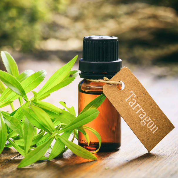 Fresh tarragon plant leaves and essential oil on wooden background closeup view. Artemisia dracunculus also known as estragon, culinary herb used for cooking in the kitchen - Photo, Image