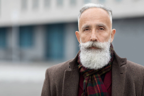 Serious aged grey-haired man with long beard, closeup portrait - Foto, Imagen