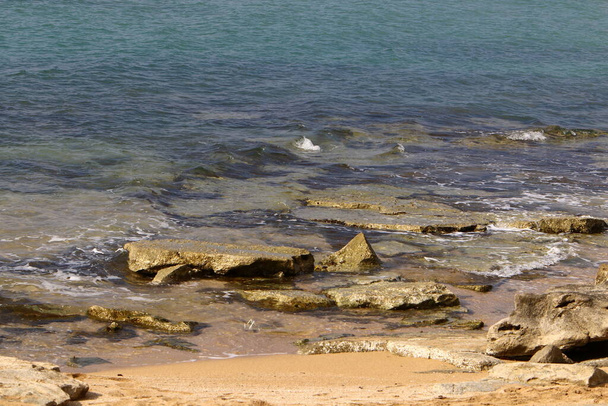 grote stenen en schelpen aan de oevers van de Middellandse Zee in het noorden van Israël  - Foto, afbeelding