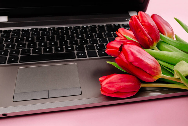 Bouquet di tulipani rossi su sfondo di carta rosa con un computer portatile sul posto di lavoro. Modello per la pubblicità o la visualizzazione di blog con spazio di copia per il testo. Biglietto da visita. Certificato di vacanza. Bandiera. - Foto, immagini