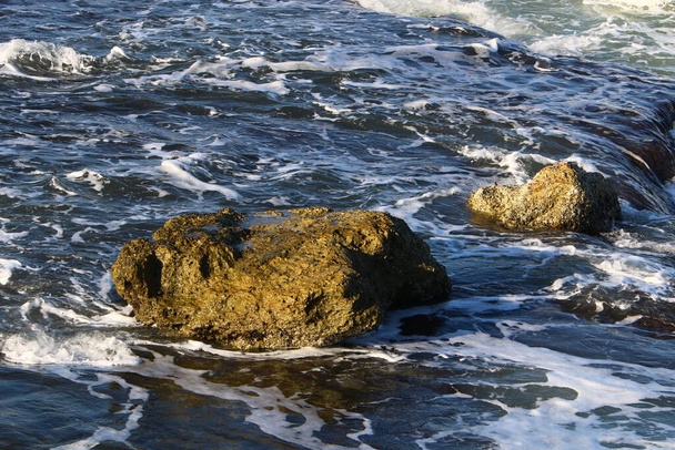 duże kamienie i muszle na wybrzeżach Morza Śródziemnego w północnym Izraelu  - Zdjęcie, obraz
