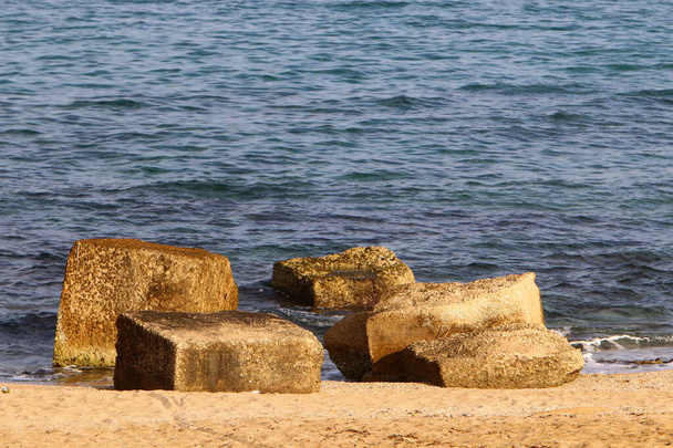 grandes piedras y conchas en las orillas del mar Mediterráneo en el norte de Israel  - Foto, Imagen