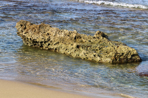 Nagy kövek és kagylók a Földközi-tenger partján, Észak-Izraelben  - Fotó, kép
