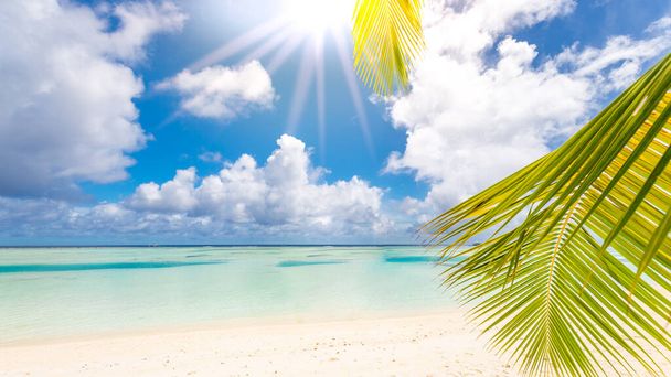 Прекрасний пляж і тропічне море. Прекрасна берегова природа, краєвид Мальдівів, чудовий краєвид на екзотичний пейзаж, білий пісок і блакитне небо. Розкішний курорт для літніх канікул і шаблон відпочинку - Фото, зображення