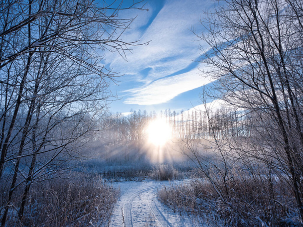 kylmä sumu aikaisin aamulla talvella - Valokuva, kuva