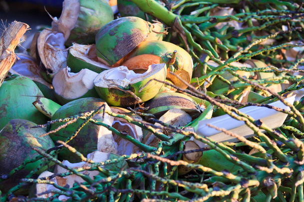 Detailní záběr kokosy na pozadí - Φωτογραφία, εικόνα