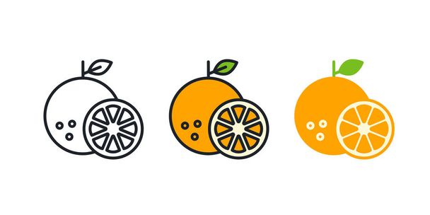 Orange icon. Linear color icon, contour, shape, outline. Thin line. Modern minimalistic design. Vector set. Illustrations of fruits - Вектор,изображение