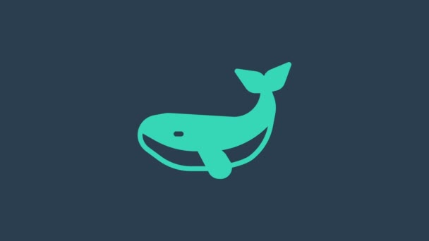 Tyrkysová ikona Velryba izolovaná na modrém pozadí. Grafická animace pohybu videa 4K - Záběry, video