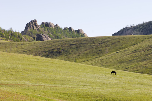 paisaje mongoliano
 - Foto, imagen