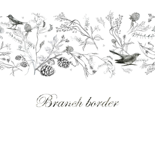 Illustration pencil. Border from leaves and branches of plants, birds. Freehand drawing of flowers on a white background. - Foto, imagen
