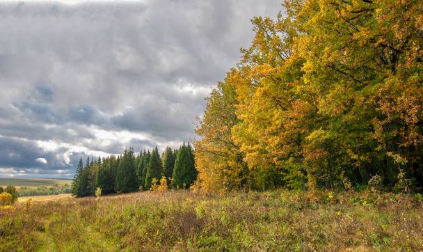 Фотографія осіннього пейзажу. Змішані ліси, луки, яри, хмарне небо, чудовий сезон
. - Фото, зображення