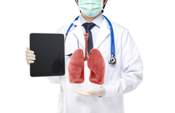γιατρός κρατώντας δισκίο δείχνουν αναπνευστική του πνεύμονα, πνευμονοπάθεια, 3D έννοια - Φωτογραφία, εικόνα